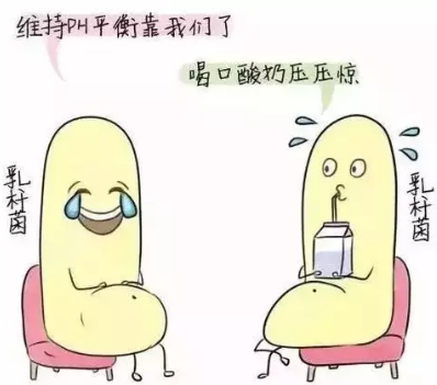 阴道分泌物成人香蕉网站入口诊断阴道微生态状态的常用方法