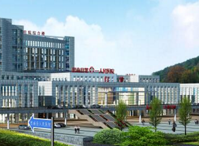 思南县人民医院采购全自动阴道分泌物香蕉国产精品