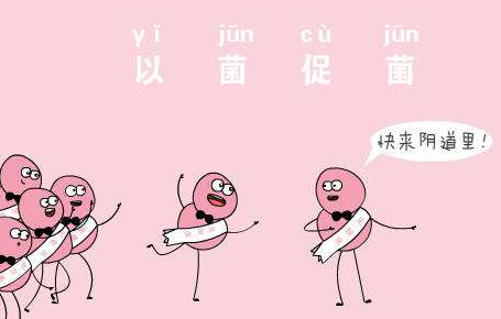 阴道微生态香蕉国产精品厂家针对女人阴道微生态的解析