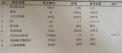 香蕉视频免费看GK-Y全自动阴道分泌物香蕉国产精品厂家科普“白带常规”查看报告！