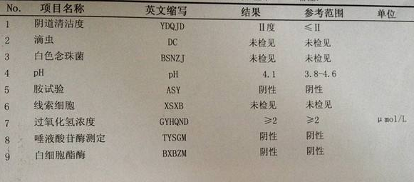 香蕉视频免费看GK-Y全自动阴道分泌物香蕉国产精品厂家科普“白带常规”查看报告！