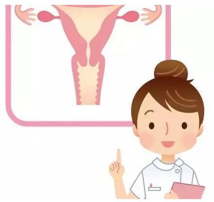 山东香蕉视频免费看gk全主动阴道分泌物香蕉国产精品器设备凭仗自身技能赢得客户信赖