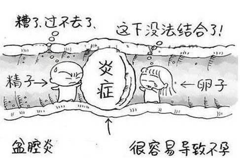 全自动妇科阴道分泌物成人香蕉网站入口检测辨别妇科炎症复杂多样！